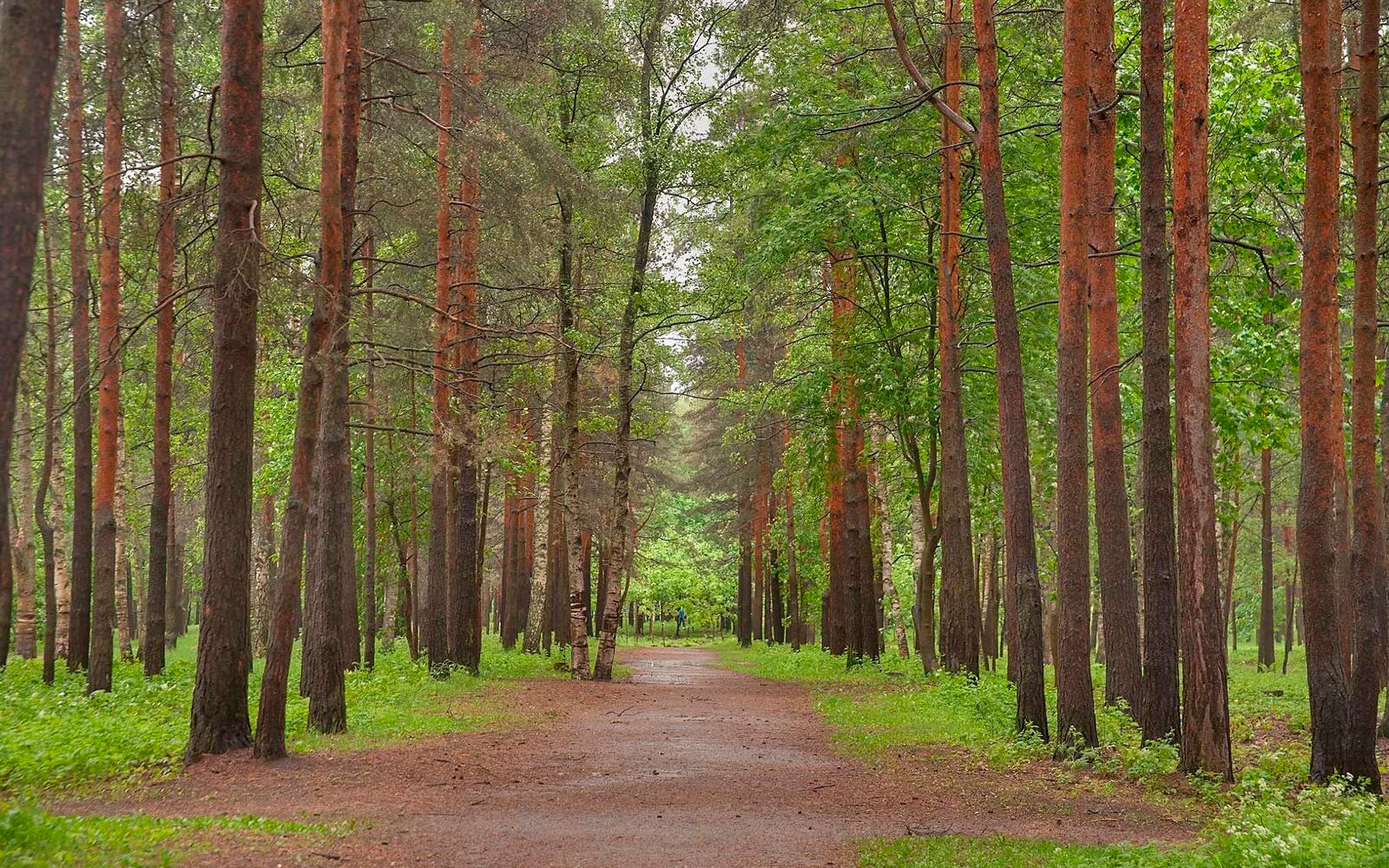 Прекрасная экология и развитая инфраструктура