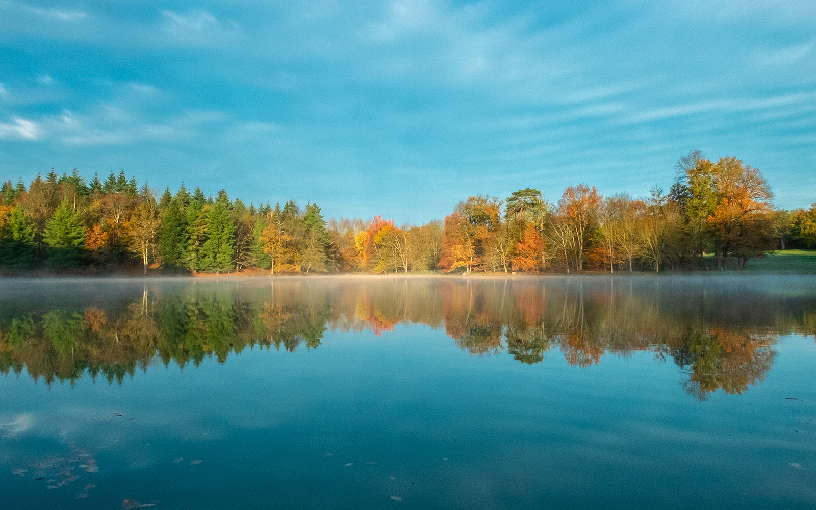 Прекрасная экология и развитая инфраструктура