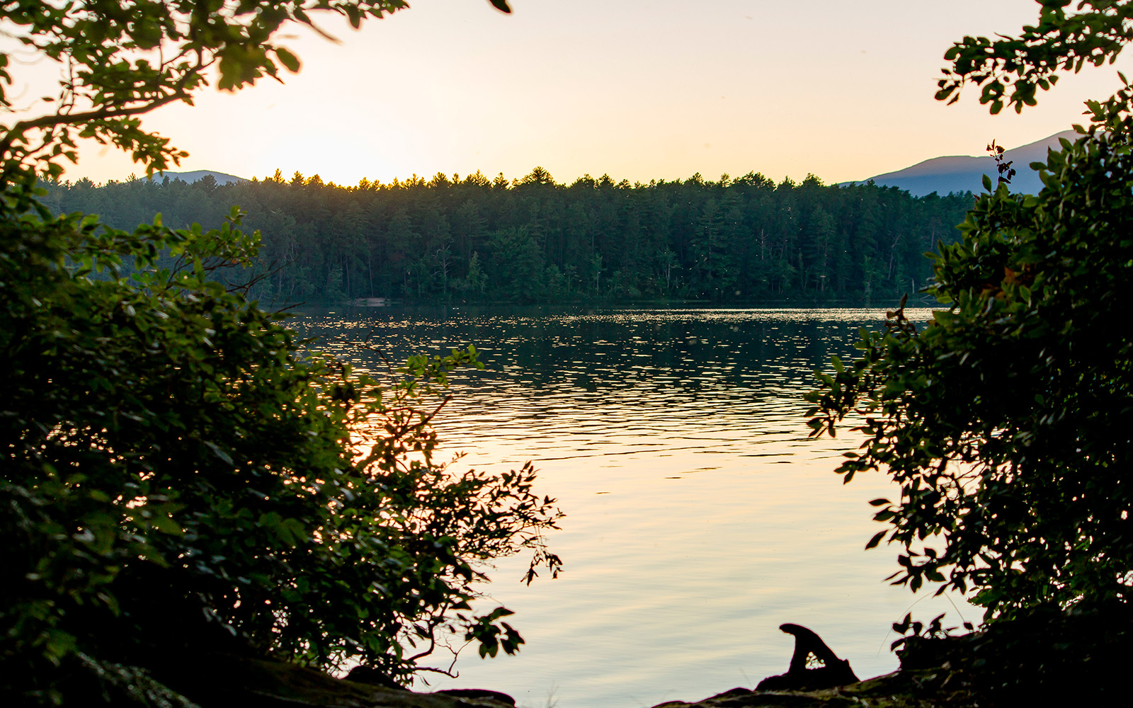 Прекрасная экология и развитая инфраструктура